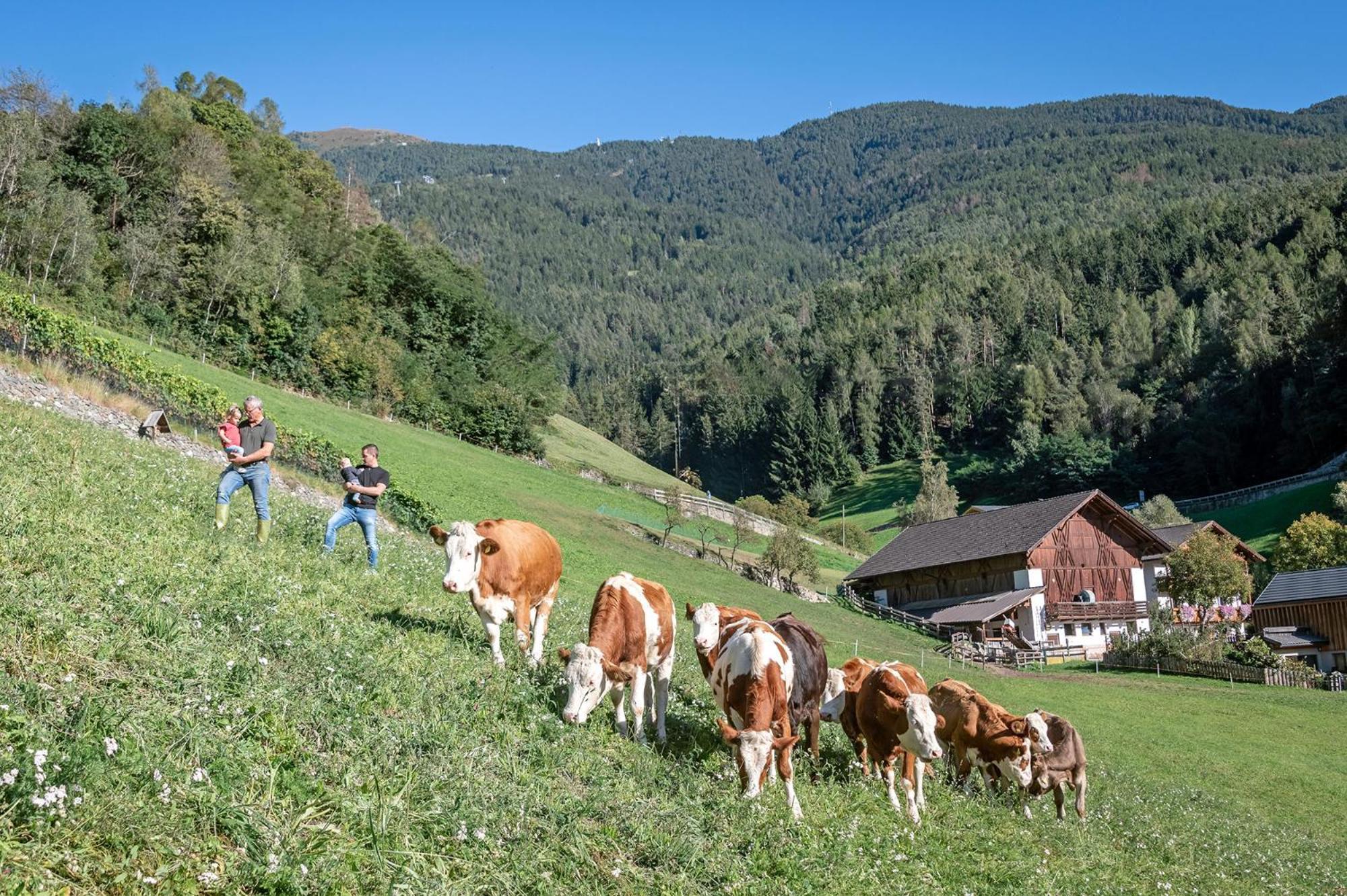 Niederthalerhof Chalets Bressanone Kültér fotó